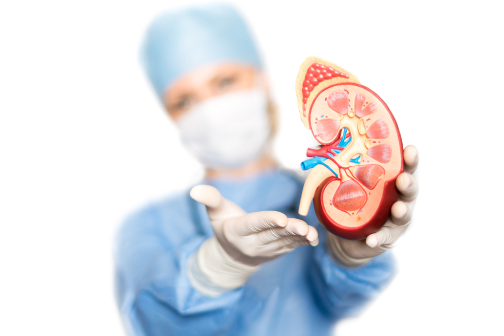 CNN Sinais Vitais revela o passo a passo de um transplante de órgão no Brasil